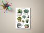 Preview: Dekorative Sukkulenten-Aufkleber im Aquarellstil, ideal für DIY-Projekte und Scrapbooking